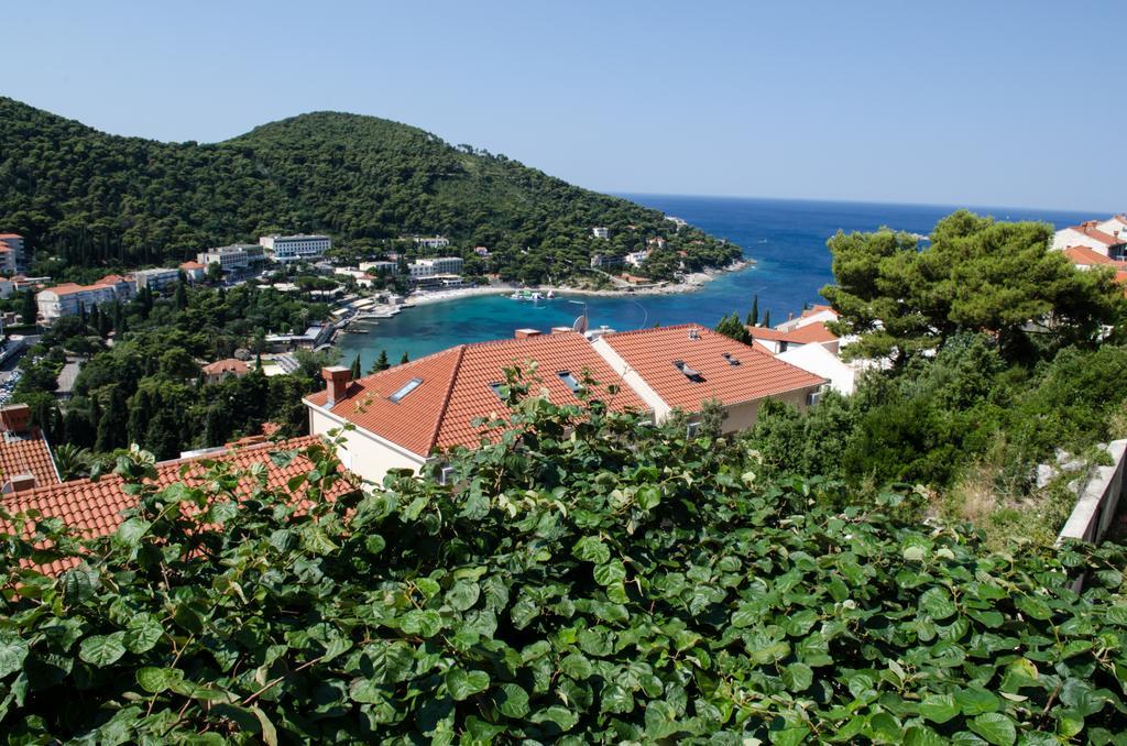 Maslac * Dubrovnik